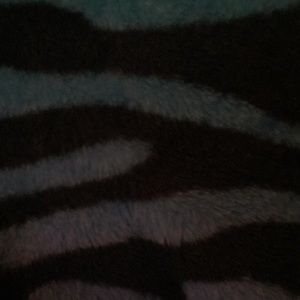 Meet your Posher, Eva